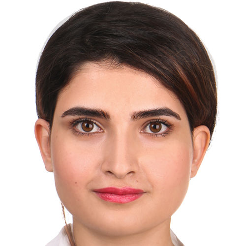 Faezeh Doudman